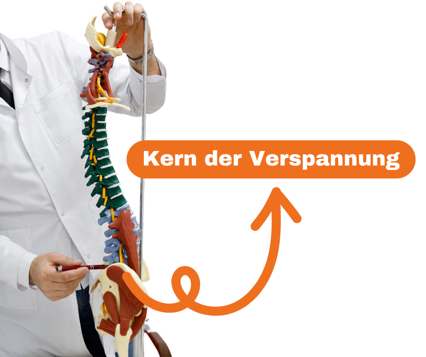 TOP PHYSIOTHERAPEUT ZEIGT